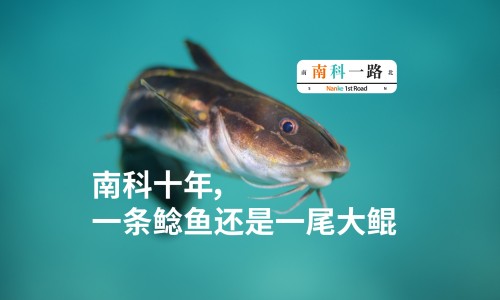 鲶鱼和塘鲺的区别有哪些